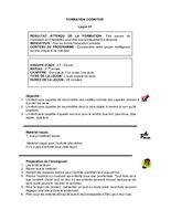Curriculum - Domaine Cognitif - 3 à 5 ans - Année 2