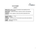 L17 La polution atmospherique